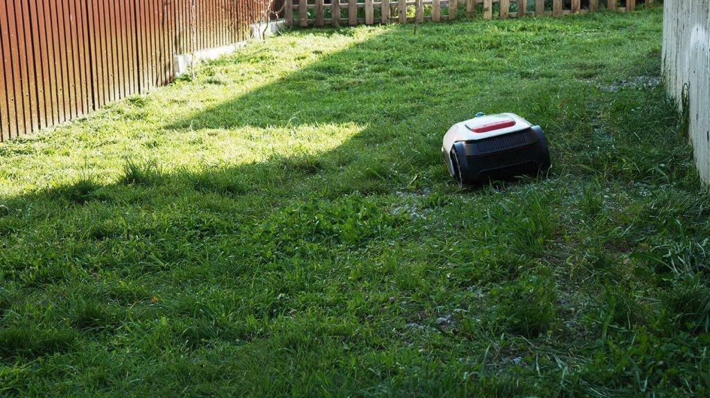 Dreame Roboticmower A1: Кошение средней по высоте травы