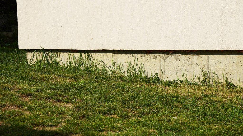 Dreame Roboticmower A1: Слепая зона вдоль границ участка