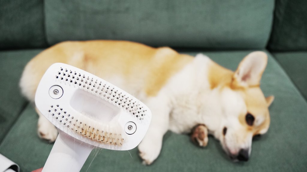 Polaris PVCSDC 3000 Wi-Fi IQ Home: Насадка для вычесывания шерсти в работе Polaris PVCSDC 3000 Wi-Fi IQ Home: Насадка для вычесывания шерсти в работе